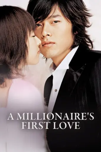 A Millionaire's First Love (2006) poster