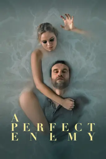 A Perfect Enemy (2021) poster