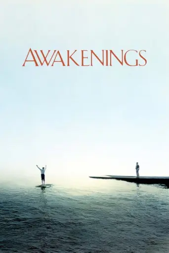 Awakenings (1990) poster