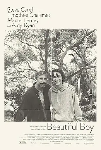 Beautiful Boy (2018) poster