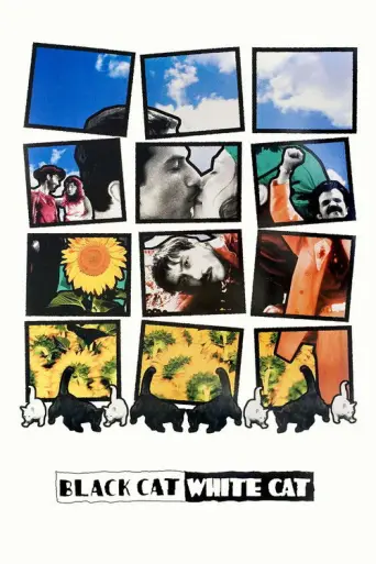 Black Cat, White Cat (1998) poster