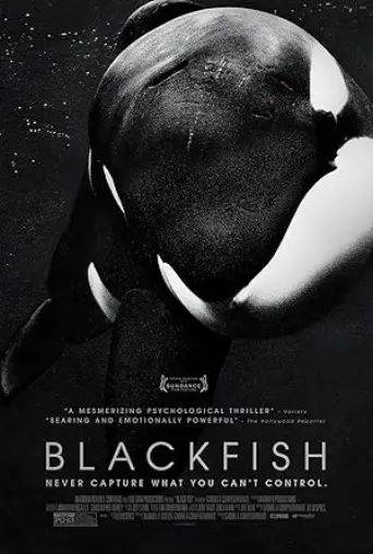 Blackfish (2013) poster