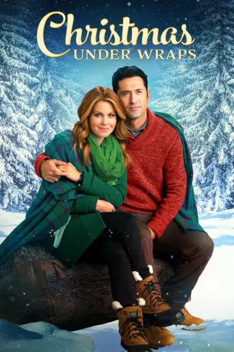 Christmas Under Wraps (2014) poster