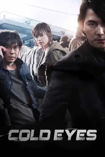 Cold Eyes (2013) poster