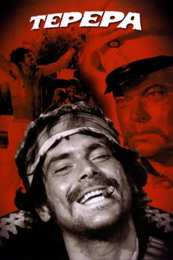 Companeros (1969) poster