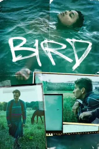 Bird (2024) (2024) poster