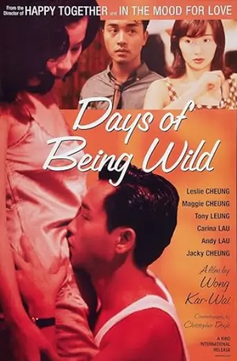 Days of Being Wild (1990) poster