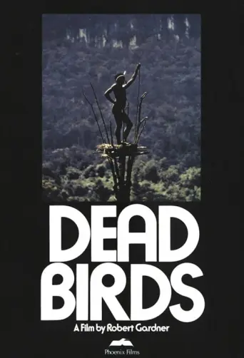 Dead Birds (1963) poster
