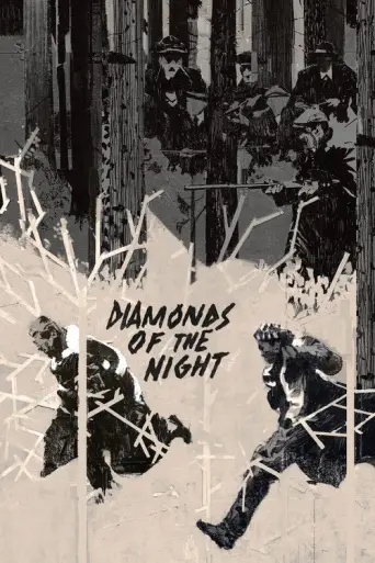 Diamonds of the Night (1964) poster