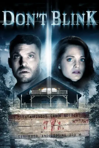 Don't Blink (2014) poster
