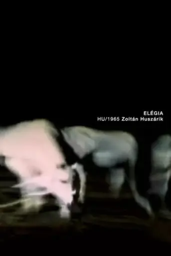 Elegy (1965) poster