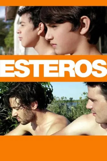 Esteros (2016) poster
