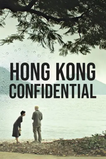 Hong Kong Confidential (2010) poster