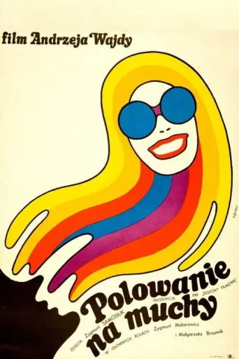 Hunting Flies (1969) poster