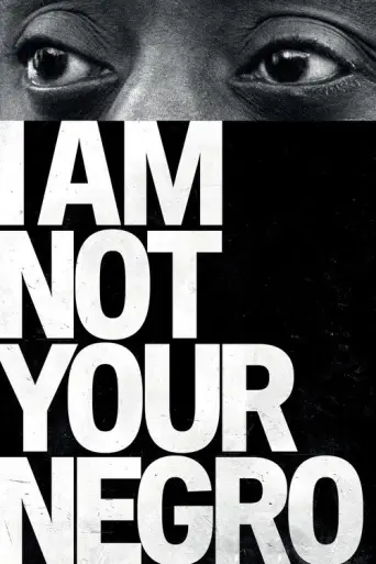 I Am Not Your Negro (2017) poster