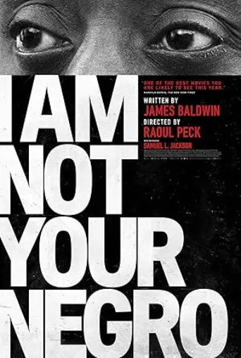 I Am Not Your Negro (2016) poster