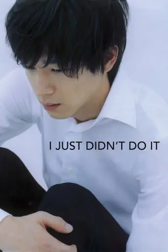 I Just Didn't Do It (2007) poster