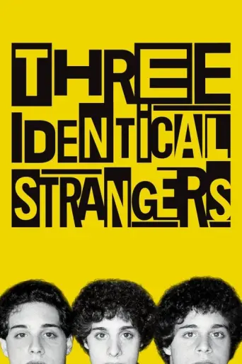 Three Identical Strangers (re-pass) (2018) poster