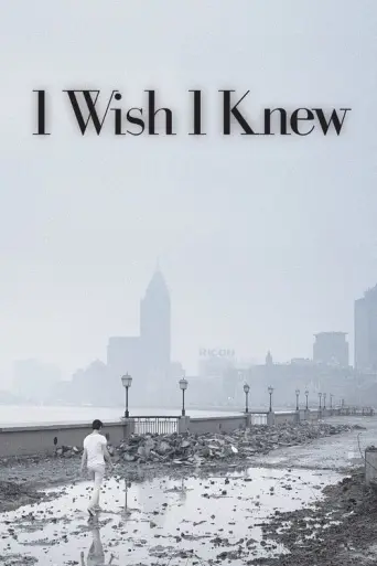 I Wish I Knew (2010) poster