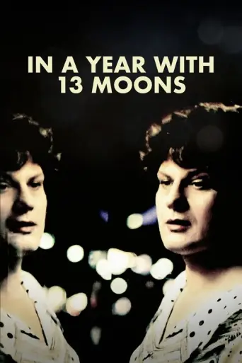 In a Year of 13 Moons (1978) poster