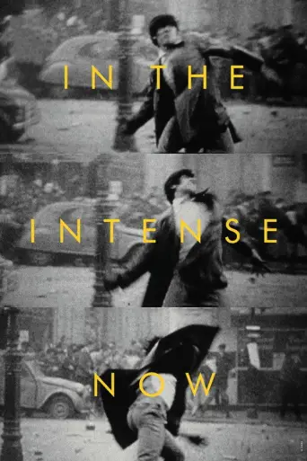 In the Intense Now (2017) poster