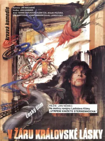 In the Light of the King's Love (1990) poster