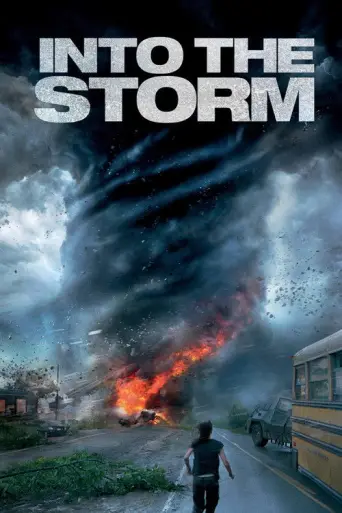 Into the Storm (2014) poster