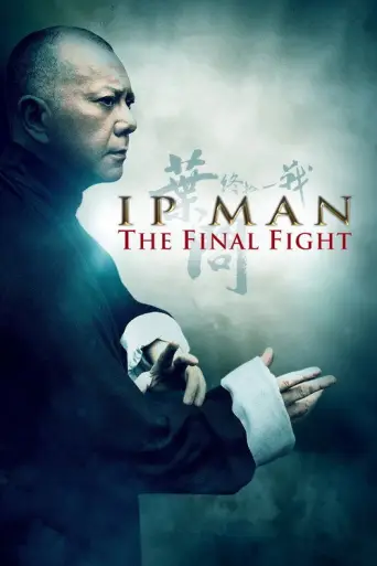 Ip Man: The Final Fight (2013) poster