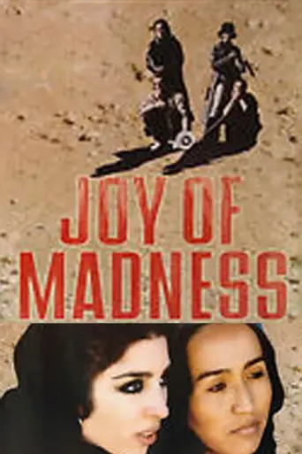 Joy of Madness (2003) poster