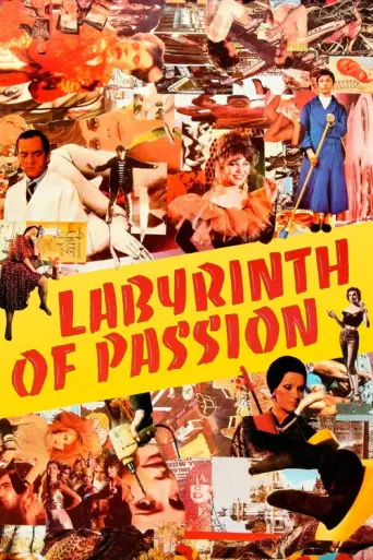 Labyrinth of Passion (1982) poster