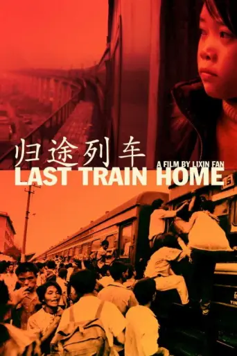 Last Train Home (2009) (2009) poster