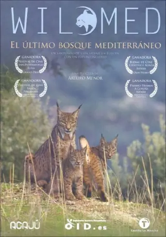 Mediterranea (2015) poster