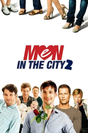 Men in the City 2 (2011) poster