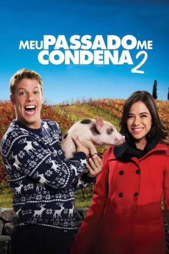 Meu Passado Me Condena 2: O Filme (2015) poster