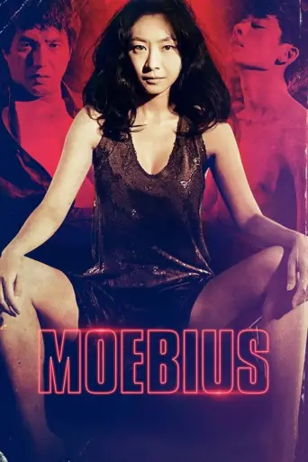 Moebius (2013) poster