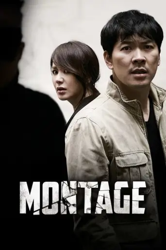 Montage (2013) poster