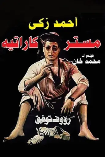 Mr. Karate (1993) poster