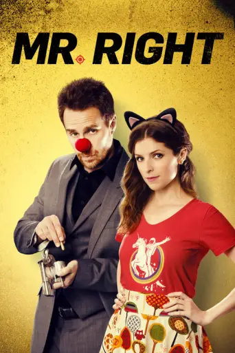Mr. Right (2016) poster