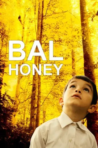 Honey (2010) (2010) poster