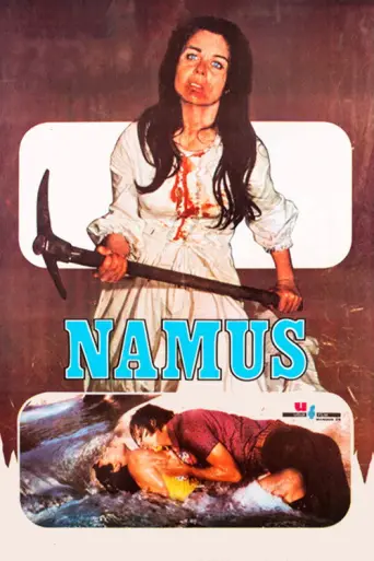 Namus (1925) poster