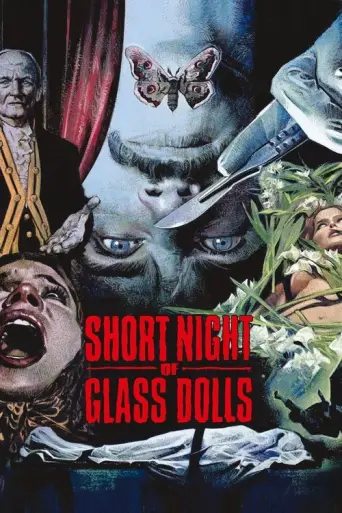 Short Night of Glass Dolls (1971) poster