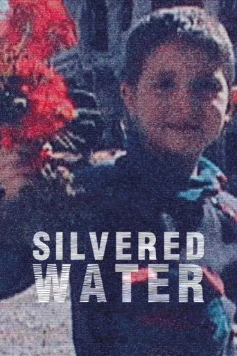 Silvered Water, Syria Self-Portrait (2014) poster