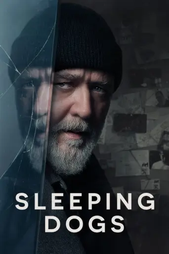 Sleeping Dogs (2024) poster