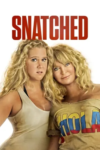 Snatched (2017) poster