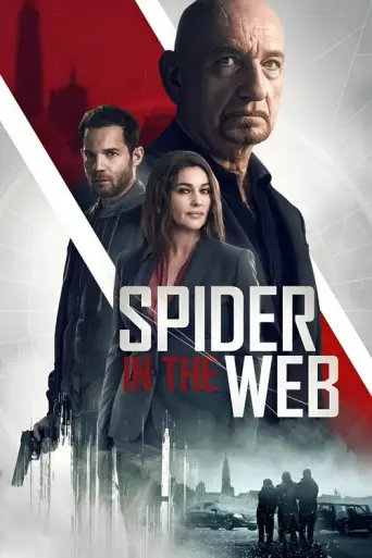 Spider in the Web (2019) poster