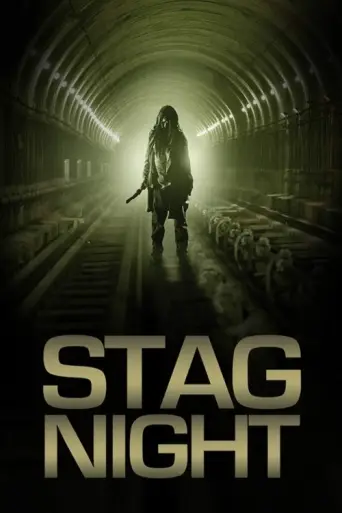 Stag Night (2008) poster