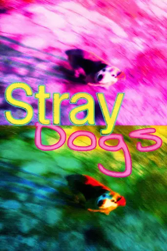 Stray Dogs (2013) poster