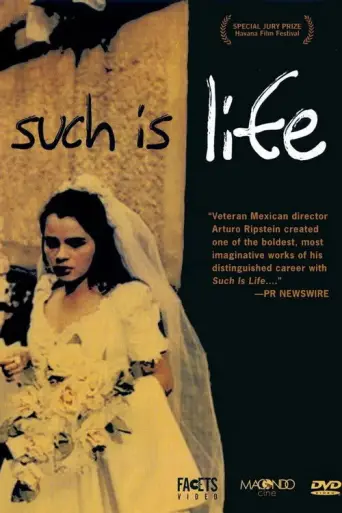 Such Is Life (2000) poster