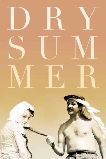 Susuz Yaz (1964) poster