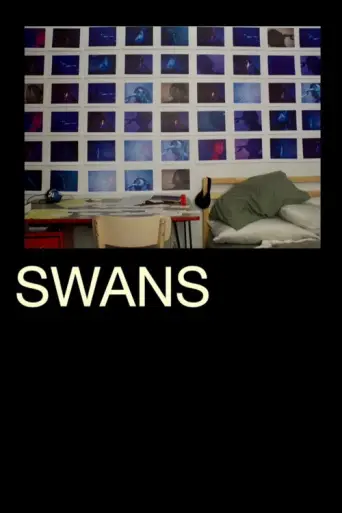 Swans (2024) poster
